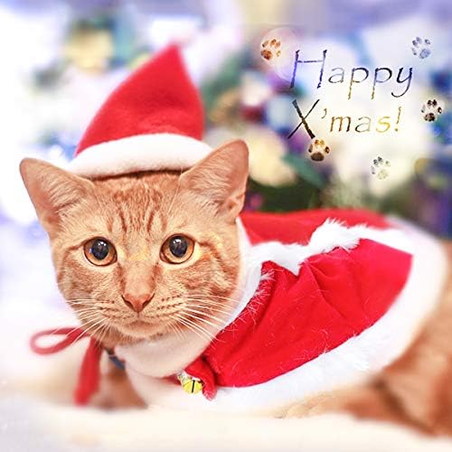 Aproveitando fantasia de gato de Natal, chapéu vermelho de casca de cachorro com capa, 2 sinos e roupas de gatinho de pompom branco, fantasia de Papai Noel Cats, vestido de festa de Natal
