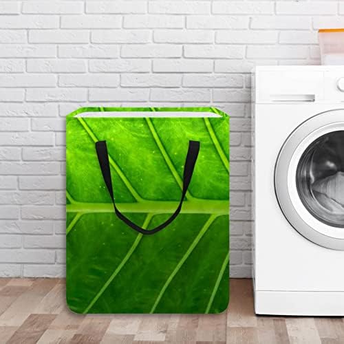 Textura verde textura abstrata estampa de lavanderia dobrável, cestas de lavanderia à prova d'água 60l de lavagem de roupas de roupas