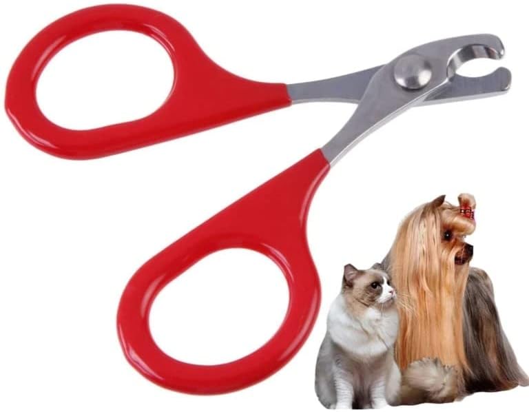 Brinquedo para animais de estimação interno, cortadores de unhas de gato para garras de filhotes de cachorro de gato pequeno cortando tesoura de unhas de animais de estimação, cor aleatória