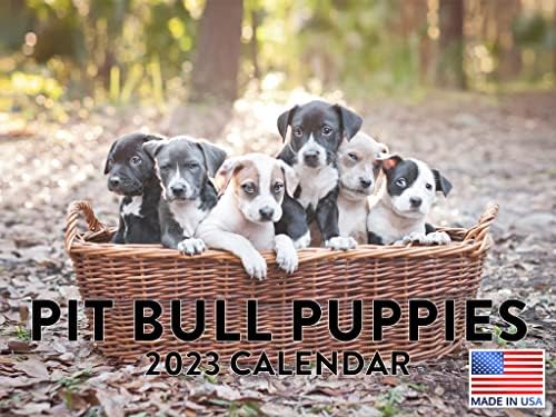 Pit Bull Puppy Dog 2023 Calendário de parede diariamente planejador mensal de animal fofo Raça de animal pendurado 365 dias Foto de