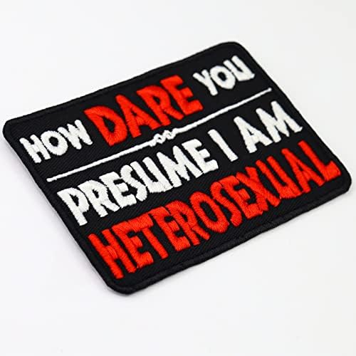 Como você ousa presumir que sou heterossexual bordado patch | Distintivo gay engraçado para emblema de sew-on/ferro-on | Appliques