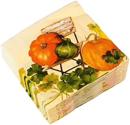 40-CT 10X10 Outono de outono de 3 camadas de papel guardanapos | Cena do jardim de outono de abóbora e cabaça | Nudários