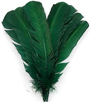 1 lb. Hunter Green Turkey Tom Rounds Rounds Wing Secundário Quill Wholesale Feathers Halloween Supply | Pena da luz da lua