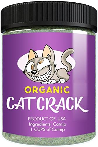 Catnip Catnip 1 xícara de Catnip Organic 1 xícara, mistura premium segura para gatos, infundidos com potência máxima que seu gatinho