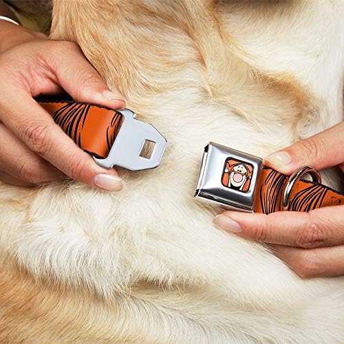 Fivela de cinto de segurança de colarinho de cachorro Tigger listras laranja preto de 16 a 23 polegadas de 1,5 polegada de largura