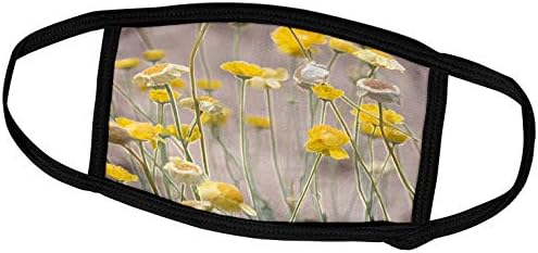 3Drose Wild Yellow Flowers em hastes com uma borda acentuada - tampas de rosto