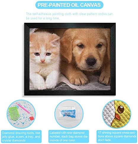 Gatinhos cães e gatos filhotes redondo miçangas kit de pintura de diamante Arte de lona full drill com quadro presente de