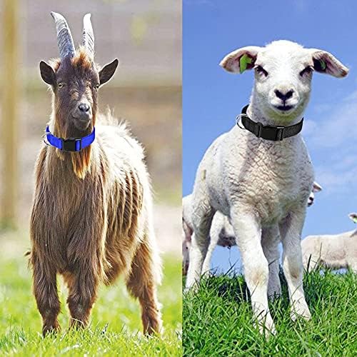 Colares de cabra, colarinhos de ovinos pequenos de nylon ajustáveis ​​com cores sólidas clássicas com fivela de liberação rápida para