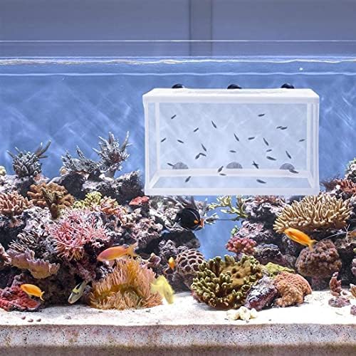 Caixa de criação de peixes de aquário de Trinidad, caixa de isolamento de incubatório de peixe grande peixe criador