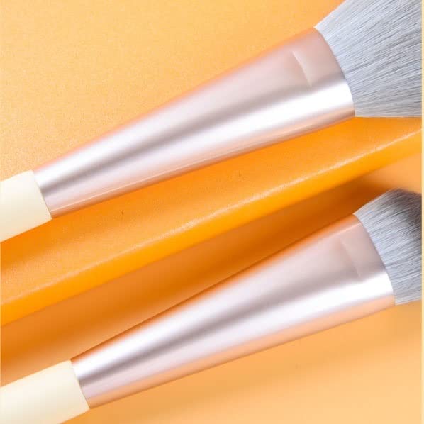 SDGH 13 Brush de maquiagem Conjunto completo de ferramentas de beleza de escova de pó grande grande