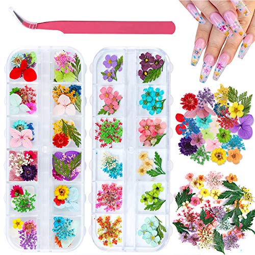 2 caixas Flores secas para arte de unhas, KissButy 24 cores Flores secas Mini Flores naturais Real Supplies de arte de unha