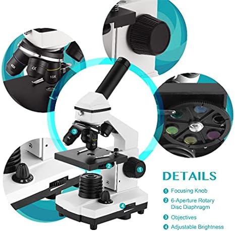 ZSEDP 64X-640X Microscópio biológico profissional Up/Down Microscópio monocular LED para estudantes Educação infantil com slides