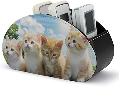 Sun and Cats Leather Remote Control Solder com 5 compartimentos bandeja de mesa de armazenamento de escritório