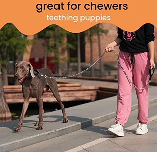 Chave de juwow cão coleira | Links de aço inoxidável de metal, chumbo de estimação à prova de mastigação de serviços pesados ​​com