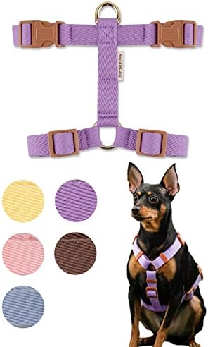 Boddlelang H-Type Easy Walk Dog Arnness para cães pequenos sem puxar | Escape Prova Arnness for Dogs Puppies | Pequeno