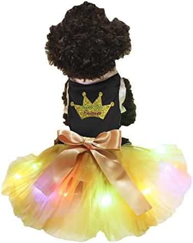 Vestido de cachorro Petitebella Mardi Gras Princesa