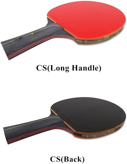 PDGJG 2PCS Tabela profissional Tennis Racket ping pong Racket Conjunto de espinhas na lâmpada de borracha Batdle com bolsa