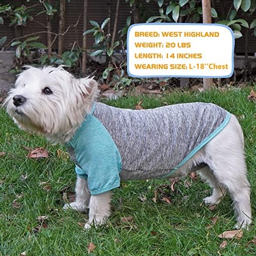 Camisas de cachorro de 2 pacote kyeese 2 camisetas de cachorro de cão elástico macio com raglan seco com roupas de cachorro refletidas