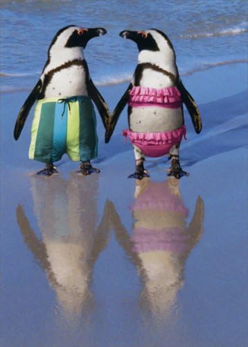 Pinguins Handing Hands - Avanti Funnystary Card