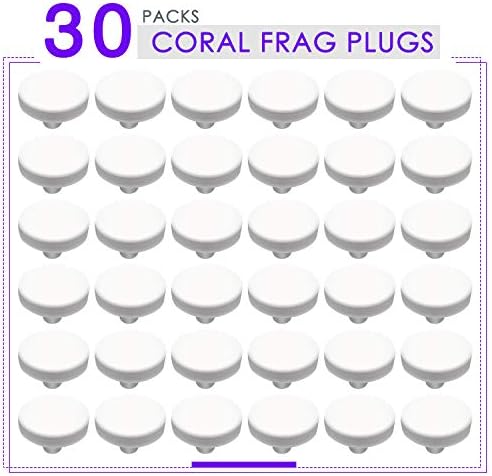 Escolha do aquário Cerâmica coral coral plugues 30 pacote