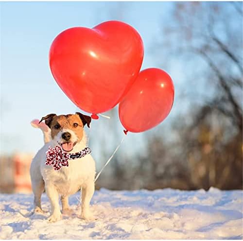 Hfdgdfk Valentine Red Heart Dog Collar com colar de cachorro de estimação ajustável para flor para cão pequeno grande de cão pequeno