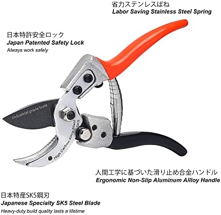 Tonma Scissors de Bonsai de Garden de 7,3 polegadas e Ambas de Ambas de Ambilas Destratedas de Jardinagem de 8 polegadas conjunto [Made no Japão]