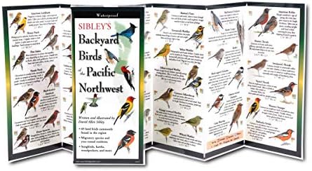 Earth Sky + Water FoldingGuide ™ - Sibley's Backyard Birds of the Pacific Northwest - 10 painel Guia de identificação de natureza