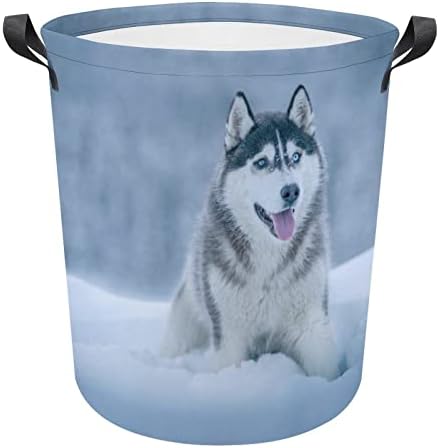 Huskies siberianos na cesta de neve cesto de cesta de armazenamento dobrável cestas de roupas de bolsa para dormitório