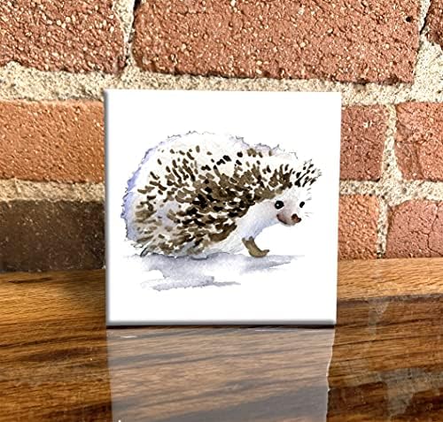 Hedgehog aquarela de arte decorativa