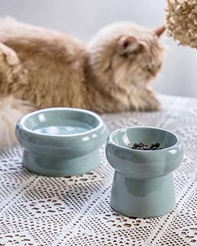 Tigela de gato de cerâmica tigelas de gato pequenos tigelas de cachorro inclinadas tigela de gato proteja a coluna vertebral da coluna vertebral anti -vômito para gatos, gatinhos e cães pequenos