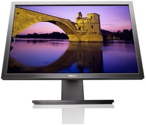 Dell P2210 22 Monitor LCD largo