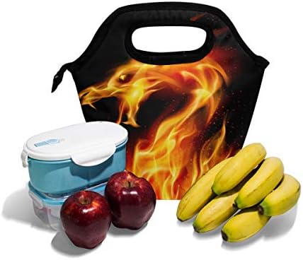 Lancheira de lancheira Alaza, lanche congelável para crianças garotas meninas e homens, Dragon Cooler portátil Zipper bolsa