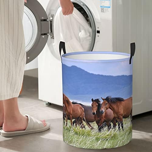 Horse in Nature Laundry Basket, traje de desgaste à prova d'água, cesta de roupa redonda para quarto e lavanderia