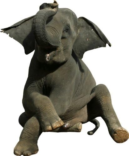 Sentado recorte de decalque de parede de elefante bebê