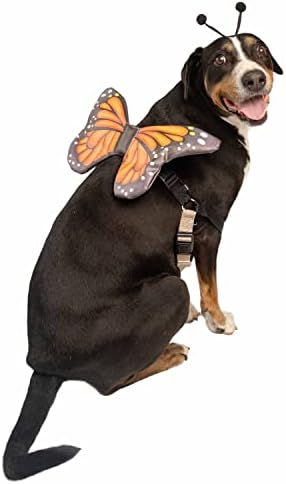 Costura de borboleta Krewe Krewe - traje de asas de borboleta para animais de estimação - acessório de chicote, um tamanho se encaixa em tudo - perfeito para o Halloween, feriado de Natal, festas, fotos de fotos, presentes para amantes de cães