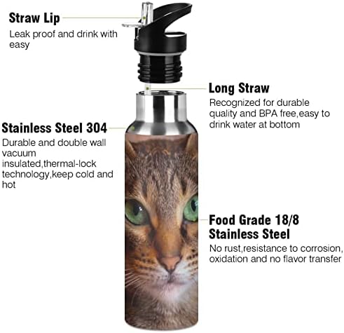 Garrafa de água esportiva - BPA Free vazamento de vácuo à prova de gato isolado aço inoxidável jarro, garrafa thermo