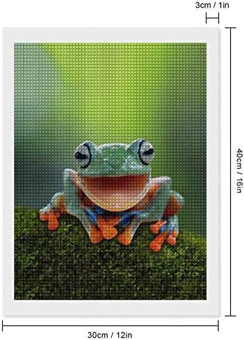 Tree Frog, Frog Frog rindo kits de pintura de diamante decorativo