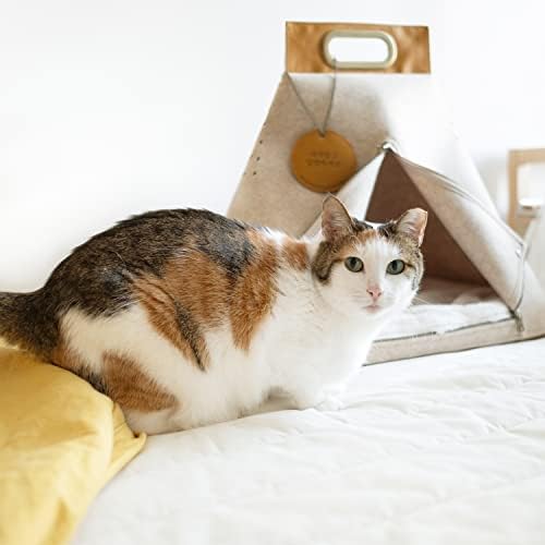 Jelly Bread 3 em casa de gato, cama de gato e canil macio, transportadora de gatos para pacote de gatos internos com charme de bolsa coreana vegana de couro vegano artesanal
