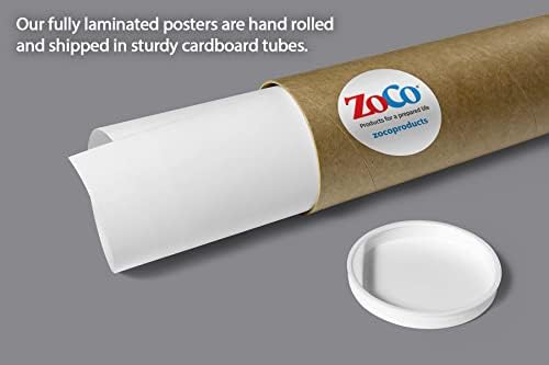Zoco - pôster do método científico - laminado, 12x18 polegadas - Posters de ciências para crianças - decorações em sala