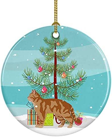 Tesouros de Caroline CK4557CO1 American Wirehair 2 Cat Feliz Natal Cerâmica Ornamento, decorações de árvores de Natal, ornamento