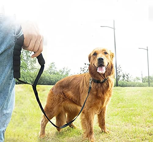Coleira de estimação de nylon coleira para cães para o ar livre de treinamento 2,5 cm de largura de 1,8m 3m 6m 10m 15m 20m 30m 50m cão coleira de cachorro