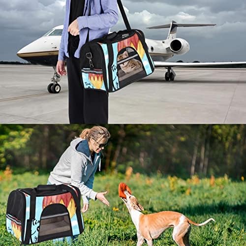 Transportador de animais de estimação Viagem de balão aquarela Antecorrer transportadores de viagem de animais de estimação para gatos, cães de cachorros confortável portátil