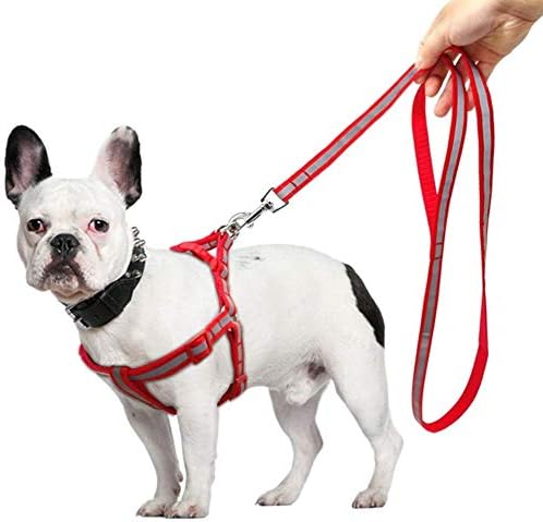 CFSAFAA Coloque o chicote de cachorro pequeno e a trela define um passo reflexivo no cães de cachorros de cachorro