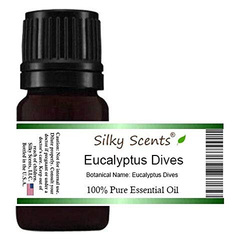 Eucalyptus mergulhe óleo essencial puro e natural - 5 ml