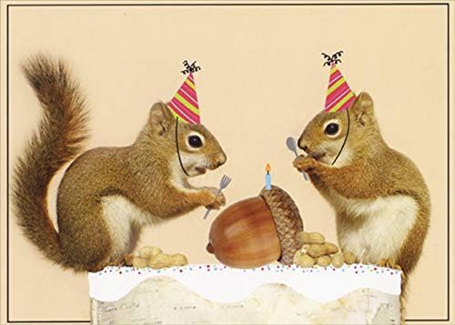 Saudações de designers Squirrels com vela de aniversário no cartão de aniversário engraçado/humorístico