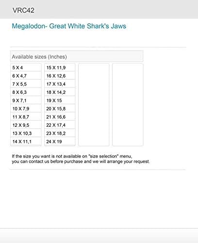 Adesivos adesivos megalodon- Great White Shark's Jaws 14 x 11,1