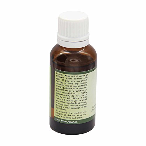 R V essencial de óleo essencial de incenso puro 15ml - Boswellia carterii