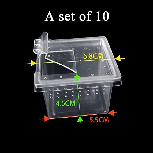Caixa de alimentação de répteis plásticos de 10pcs, caixa de criação de tartarugas, recipiente de choque de gaiolas de