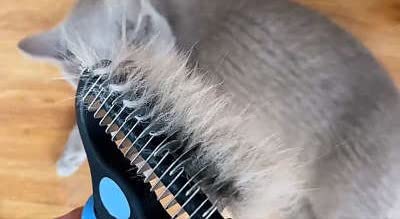 Pele de remoção de pêlos profissionais de animais de estimação, pente de estimação para emaranhados, tapetes e remoção de cabelos soltos, ferramenta de limpeza