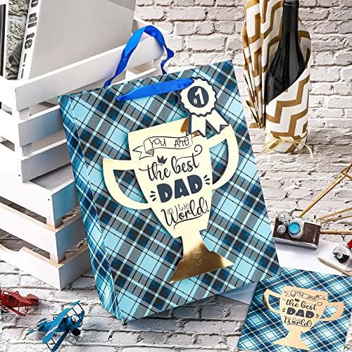 Saco de presente do Dia dos Pais de 13 do Wrapaholic com cartão e papel de seda - você é o melhor pai do mundo
